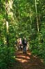 Regnskov. �koturister p� vandretur i Misiones regnskoven n�r Yacutinga Lodge   Yacutinga Lodge Argentina Sydamerika  
