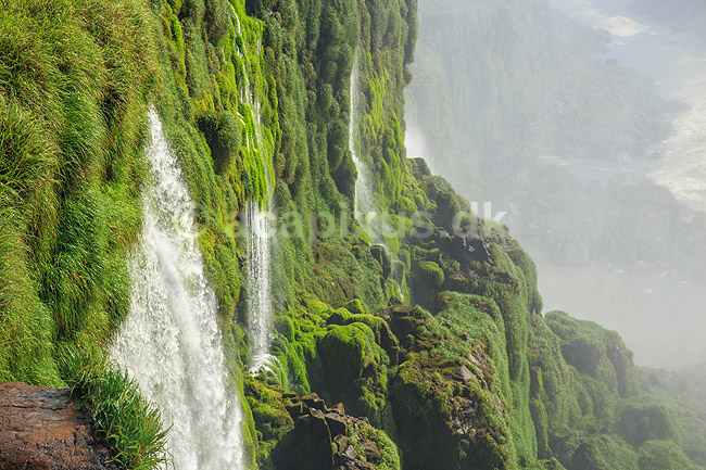 Iguazu vandfaldene. Klippeside overgroet med mos ved Iguazu vandfaldene - set fra den Argentinske side af vandfaldene; ; Iguazu; Argentina; Sydamerika; ; Vandfald, The Iguazu Falls, Iguaz� Falls, Iguassu Falls, Igua�u Falls, Cataratas del Iguaz�, Cataratas do Igua�u 