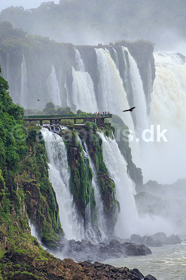 Iguazu vandfaldene. Iguazu vandfaldene med Garganta del Diablo bagerst set fra den Argentinske side af vandfaldene - til h�jre Argentina til venstre Brasilien; ; Iguazu; Argentina; Sydamerika; ; Vandfald, The Iguazu Falls, Iguaz� Falls, Iguassu Falls, Igua�u Falls, Cataratas del Iguaz�, Cataratas do Igua�u 