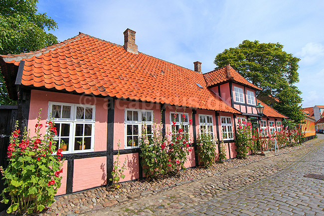 R�nne. Erichsens G�rd, gamelt bindingsv�rkshus med stokroser i R�nne; ; R�nne / Bornholm; Danmark; ; ; 