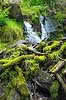 D�ndalsfaldet. Vandfald p�  D�ndale�en med mosbegroede tr�stammer i D�ndalen. Danmarks st�rste vandfald p� ca 20 meter  D�ndalen / Bornholm Danmark   vandl�b, �er, spr�kkedale, Natura 2000