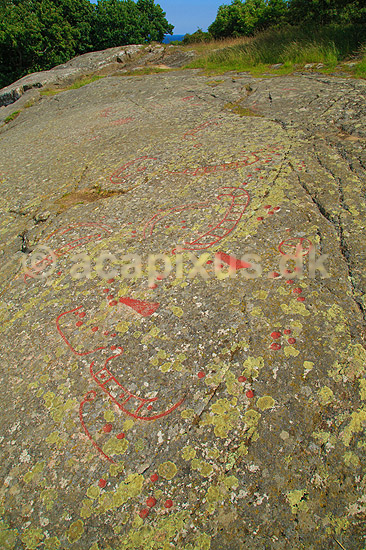 Helleristninger. Helleristning ved Madsebakke p� Bornholm. Madsebakke helleristningsfelt er Danmarks st�rste med fjorten skibsbilleder, fem hjulkors, fem fodfigurer og mange sk�ltegn; ; Madsebakke / Allinge / Bornholm; Danmark; ; ; Vikinger, vikingetiden, kommunikation, broncealder