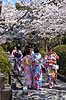 Piger i kimono. Japanske piger og kvinder i traditionel kimono i Ninen-zaka / Sannen-zaka gaderne  Higashiyama District / Kyoto Japan Asien  T�j, bekl�dning, kimonoer