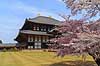 Todai-ji Nara. Todai-ji templet i Nara - verdens st�rste tr�bygning  Todai-ji / Nara Japan Asien  templer buddisme buddhism buddistisk, Todaiji