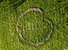 Hekseringe. En heksering med form som et hjerte i gr�spl�ne  M�l�v Danmark  svampe haver, gr�spl�ner, dronefoto
