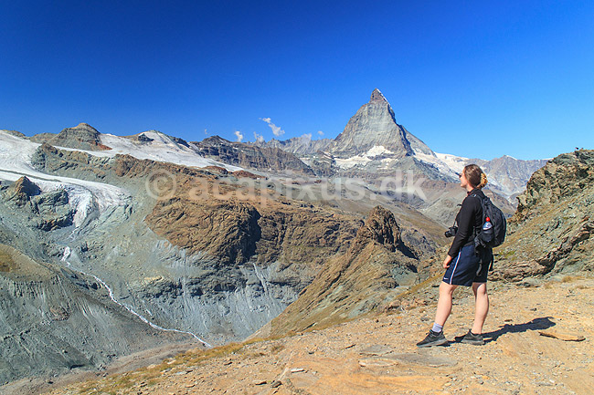 Matterhorn. Vanderer beskuer det ikoniske bjerg Matterhorn set fra n�r Gornergrat; ; Zermatt; Schweiz; ; ; Alperne, bjerglandskab, Alpelandskab, bjergvandring