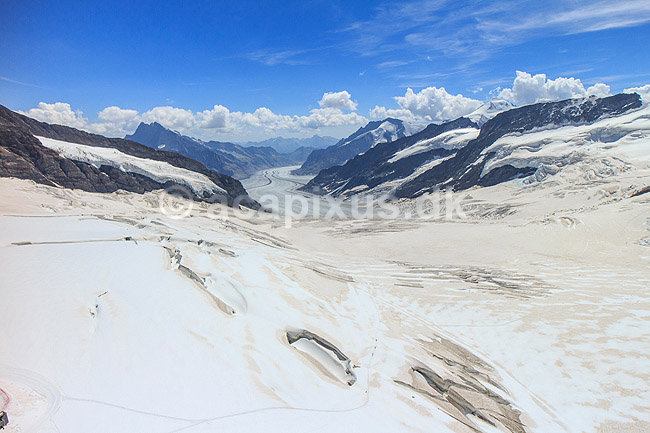 Grosser Aletschgletscher. Udsigt over Jungfraufirn, Konkordiaplatz og Grosser Aletschgletscher (Aletsch-gletsjeren) fra Jungfraujoch - Aletschgletscheren er Europas st�rste gletcher; ; Jungfraujoch; Schweiz; ; ; Alperne, bjerglandskab, Alpelandskab, Aletsch Glacier, gletsjer, Concordiapladsen