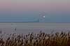 M�ne og �resundsbroen. �resundsbroen med den opg�ende fuldm�ne i baggrunden set fra Drag�r  �resund / Drag�r Danmark  Sev�rdigheder Bj�lkebro og skr�stagsbro, bro, broer, brobyggeri, broforbindelse, brokonstruktion, b�lt, b�lter, Dansk-Svenske forbindelse, farvand, h�ngebro, h�jbro, infrastruktur, jernbaneforbindelse, modlysbilleder, motorvej, pendling, pendlere, silhuet, solen, solenergi, solopgange, str�de, Sund & B�lt, Svensk-danska Brof�rbindelsen, SVEDAB, Sverigesforbindelse, trafik, transport, vej, veje, �resund, �resundsbro Konsortiet, �resundsbroen, �resundsbron, �resundsforbindelsen 
