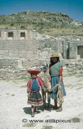 B�rn med lama ved inca ruin n�r Cuzco i Andes Bjergene; ; Cuzco; Peru; Syd Amerika; ; 