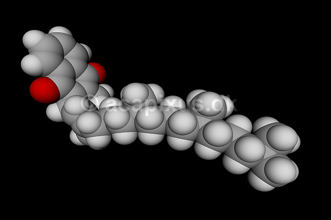 Vitamin K1; ; ; ; ; ; videnskab biokemi