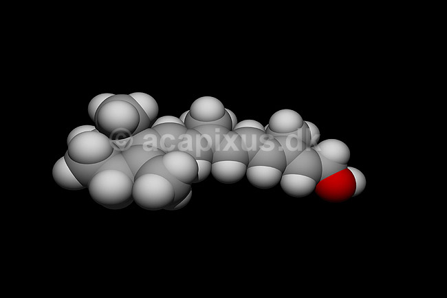 Vitamin A, Retinol; ; ; ; ; ; videnskab biokemi