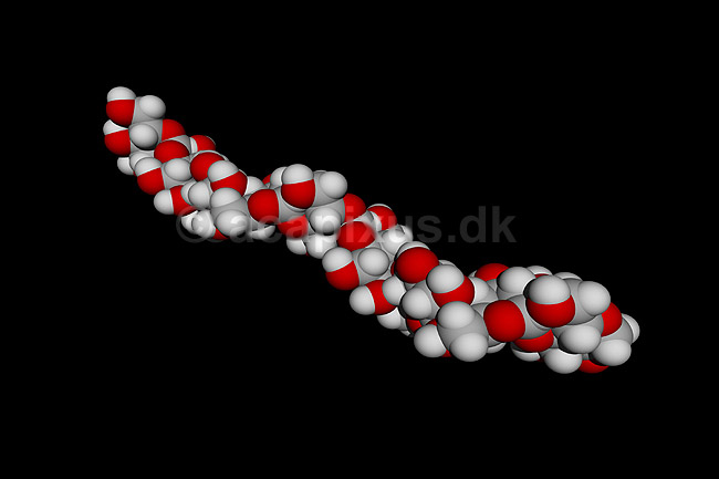 Stivelse - et polysaccharid; ; ; ; ; ; videnskab biokemi
