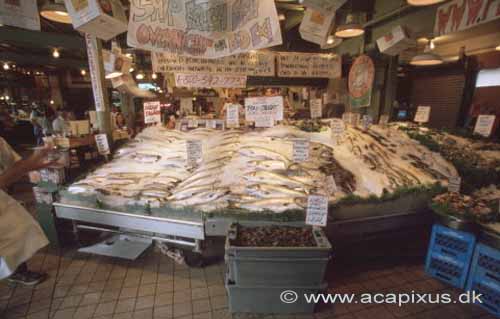 Det Syngende Fiskemarked Fiskehandleren kaster en fisk; ; Seattle / Washington State; USA; Nord Amerika; ; 