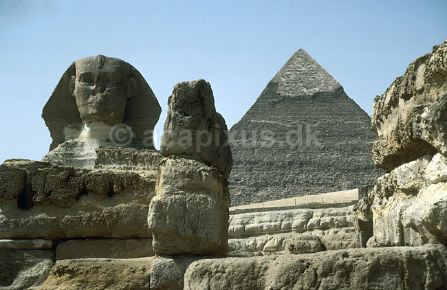 Sphinxen foran Chephren pyramiden; ; Giza, Cairo; Egypten; Afrika; ; 