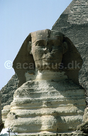 Sphinxen foran Chephren pyramiden; ; Giza, Cairo; Egypten; Afrika; ; 