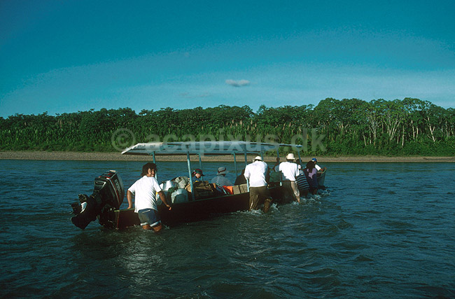 Ecoturister p� flod tur i naturreservat i Peruviansk Amazonas; ; Tambopata-Candamo Reserve / Amazonas; Peru; Syd Amerika; ; 