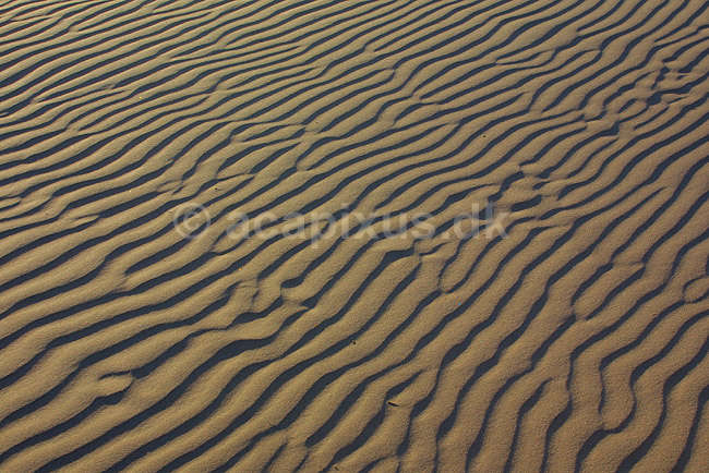 Sandm�nstre efter sandfygning p� stranden ved Uggerby Strand i Nordjylland; ; ; Danmark; ; ; 