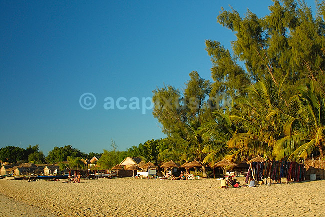 Strandliv p� stranden ved Ifaty; ; Ifaty; Madagaskar; Afrika; ; 