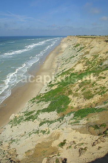 Kystskr�nten ved M�rup Kirke; ; L�nstrup / Nordjylland; Danmark; ; ; landskaber