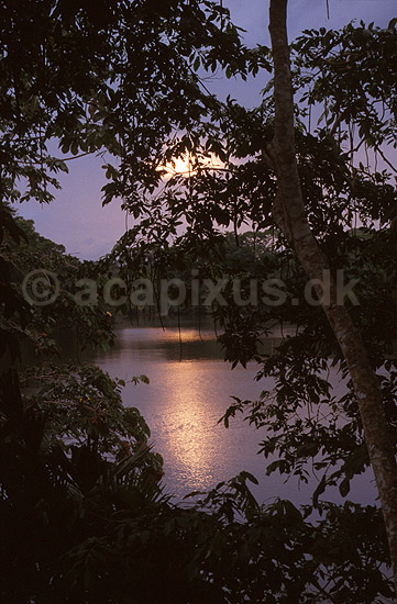 Solnedgang i regnskov i Amazonas; ; Yasuni NP / Amazonas; Equador, Ecuador; Syd Amerika; ; landskaber
