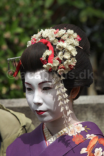 Maiko. Japansk danseinde p� gaden i Gion distriktet i Kyoto; ; Gion / Kyoto; Japan; Asien; ; japansk japanere kvinder makeup make-up kimono k�nsroller