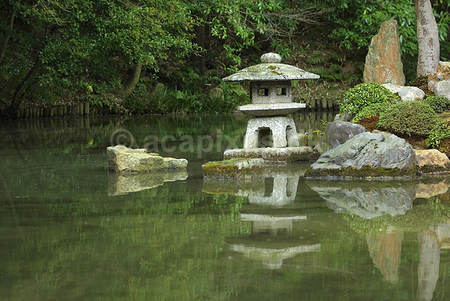 Japansk have. Japansk have i Chion-in templet i Kyoto; ; Chion-in / Kyoto; Japan; Asien; ; haver