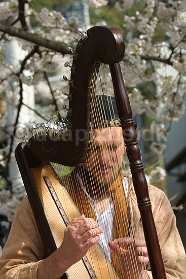 Gademusikant. Gademusikant spiller p� harpe ved Path of Philosophy i Kyoto; ; Path of Philosophy / Kyoto; Japan; Asien; ; musik musikanter instrumenter