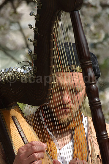 Gademusikant. Gademusikant spiller p� harpe ved Path of Philosophy i Kyoto; ; Path of Philosophy / Kyoto; Japan; Asien; ; musik musikanter instrumenter