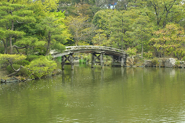 Japansk have. Japansk have i Kikokutei Shosei-en parken; ; Kikokutei Shosei-en / Kyoto; Japan; Asien; ; haver parker broer