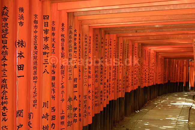 Fushimi-Inari Taisha Shrine. Tunnel af torii ved det shintoistiske Fushimi-Inari Taisha Shrine; ; Fushimi-Inari Taisha Shrine / Kyoto; Japan; Asien; ; templer shintoisme orange