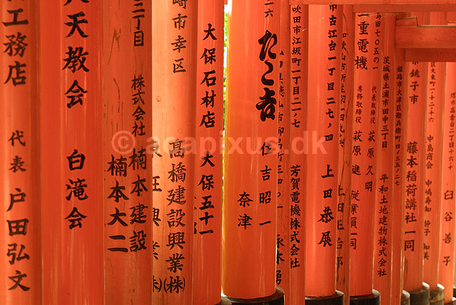 Fushimi-Inari Taisha Shrine. Kanji inskriptioner p� torii's ved det shintoistiske Fushimi-Inari Taisha Shrine; ; Fushimi-Inari Taisha Shrine / Kyoto; Japan; Asien; ; templer shintoisme orange