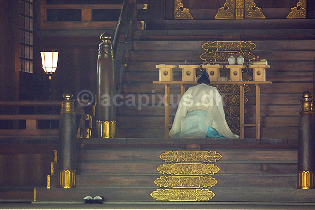 Meiji-jingu. Pr�st i det shintoistiske Meiji-jingu tempel i Tokyo; ; Meiji-jingu / Tokyo; Japan; Asien; ; templer shintoisme
