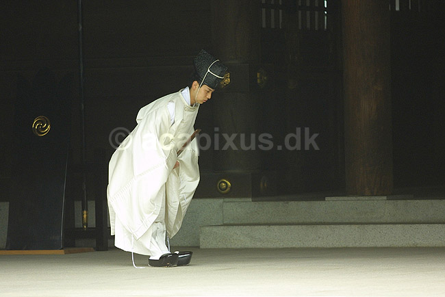 Meiji-jingu. Pr�st i det shintoistiske Meiji-jingu tempel i Tokyo; ; Meiji-jingu / Tokyo; Japan; Asien; ; templer shintoisme