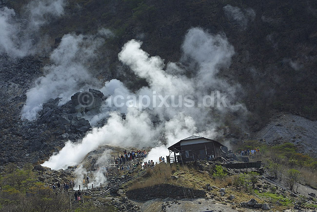 Owakudani - Hakone. Damp stiger op fra fumaroler ved Owakudani i Fuji-Hakone-Izu National Parken; ; Owakudani / Hakone; Japan; Asien; ; vulkanisme vulhaner lava geotermisk varme