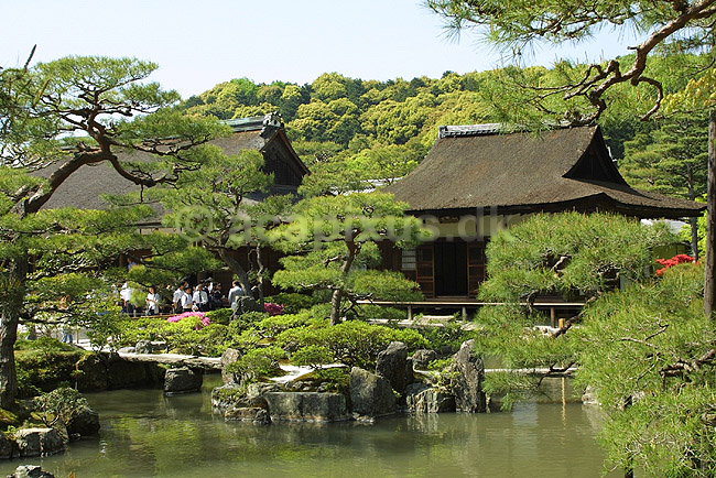 Ginkaku-ji. Tempelbygninger og dam i den japanske have i Ginkaku-ji templet; ; Ginkaku-ji / Kyoto; Japan; Asien; ; templer buddisme buddhism buddistisk