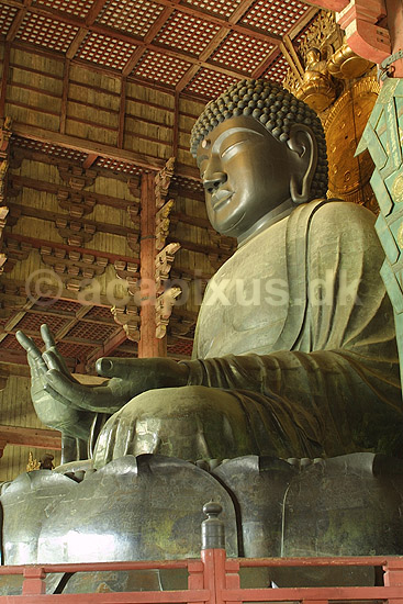 Todai-ji Nara. Buddafigur i Daibutsu-den hall i Todai-ji templet i Nara ; ; Todai-ji / Nara; Japan; Asien; ; templer buddisme buddhism buddistisk