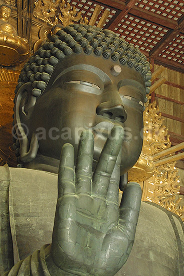 Todai-ji Nara. Buddafigur i Daibutsu-den hall i Todai-ji templet i Nara ; ; Todai-ji / Nara; Japan; Asien; ; templer buddisme buddhism buddistisk