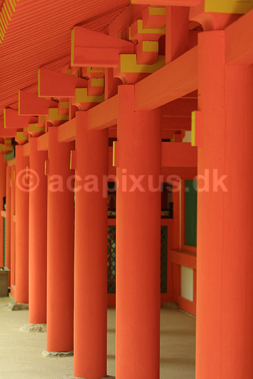 Kasuga-Taisha Shrine. Orange tr�s�jler i Kasuga-Taisha Shrine templet i Nara ; ; Kasuga-Taisha Shrine / Nara; Japan; Asien; ; templer