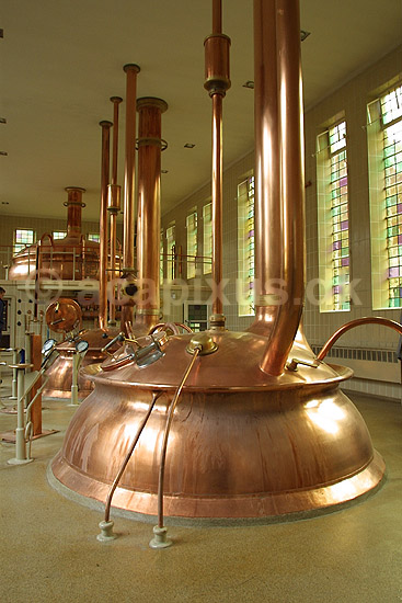 Rochefort. Brygkedler af kobber p� Rochefort bryggeriet p� Abbey Rochefort; ; Rochefort; Belgien; Europa; ; �lproduktion, drikkevarer, munke�l, bryggerier, �lbrygning