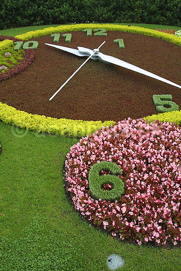 Blomsterur. Blomsteruret i Geneve; ; Geneve; Schweiz; Europa; ; ure, tiden, tidstagning, klokken, sekundviser, minutviser