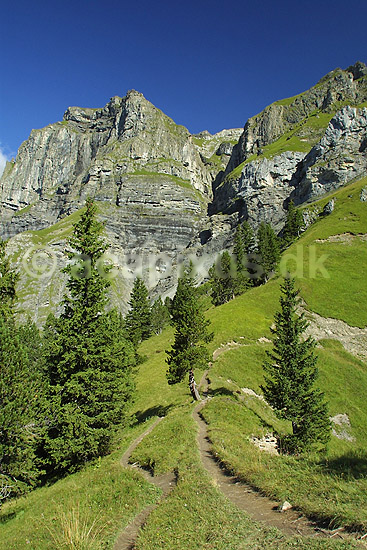 Oeschinental. Bjerglandskab i Oeschinental i de Schweiziske Alper; ; Kandersteg; Schweiz; Europa; ; 