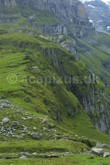 Oeschinental. Bjerglandskab i Oeschinental i de Schweiziske Alper; ; Kandersteg; Schweiz; Europa; ; 