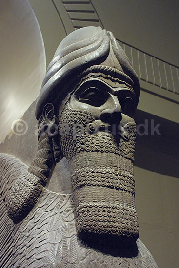 British Museum. Assyrisk (ca 865-860 f.kf.) skulptur (winged human-headed bull) fra Nimrud udstillet i The British Museum; ; The British Museum / London; England; ; sev�rdigheder; ark�ologi, Assyrien, Iraq, Irak