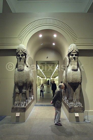 British Museum. Assyriske (ca 865-860 f.kf.) skulpture (winged human-headed bull) fra Nimrud udstillet i The British Museum; ; The British Museum / London; England; ; sev�rdigheder; ark�ologi, Assyrien, Iraq, Irak