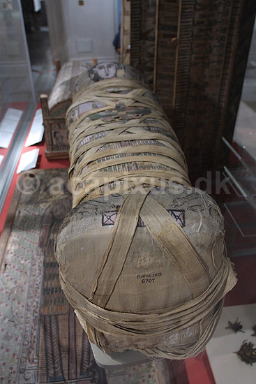 Cleopatra. Cleopatras mumie udstillet p� London Natural History Museum; ; The British Museum / London; England; ; sev�rdigheder; ark�ologi, Egypten, �gypten, pharaoner, mumier