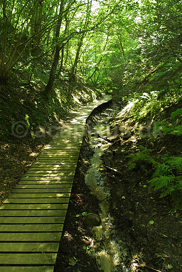 Fosdalen. Fosdalen i Fosdal Plantage i Nordjylland; ; Fosdalen / Fjeritslev; Danmark; ; ; 