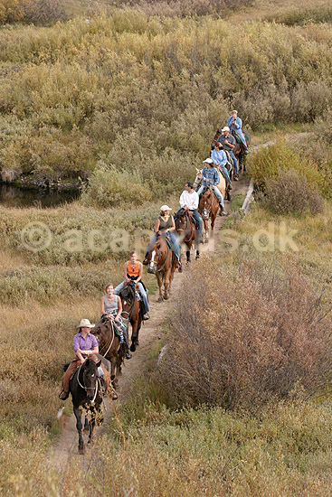Ryttere. Ryttere p� tur igennem landskabet i Grand Teton NP.; ; Grand Teton National Park / Wyoming; USA; Nord Amerika; ; Ridning, heste, ecoturisme, turisme