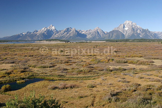 Tetons. The Grand Tetons set fra Jacson Lake Lodge; ; Grand Teton National Park / Wyoming; USA; Nord Amerika; ; Bjerge, nationalparker