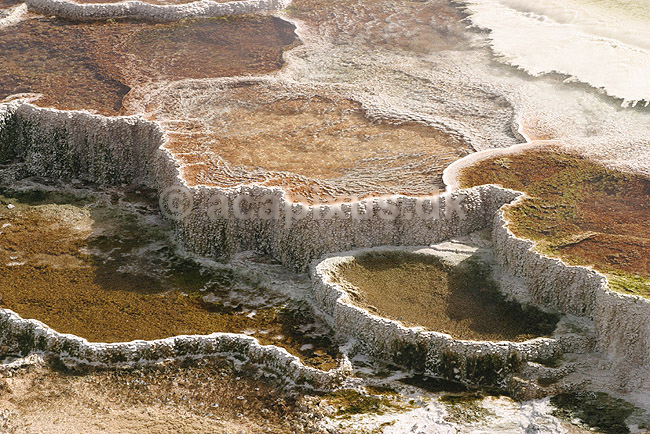 Mammoth Hot Springs. Terasser af vandfald med varmt vand ved Mammoth Hot Springs i Yellowstone NP.; ; Yellowstone National Park / Wyoming; USA; Nord Amerika; ; Geothermisk, geotermisk varme