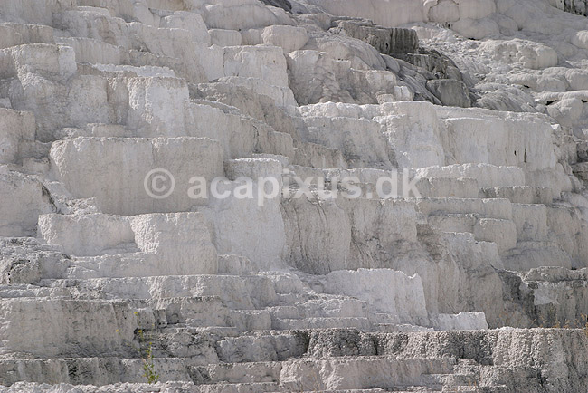 Mammoth Hot Springs. Terasser efter udt�rrede vandfald med varmt vand ved Mammoth Hot Springs i Yellowstone NP.; ; Yellowstone National Park / Wyoming; USA; Nord Amerika; ; Geothermisk, geotermisk varme
